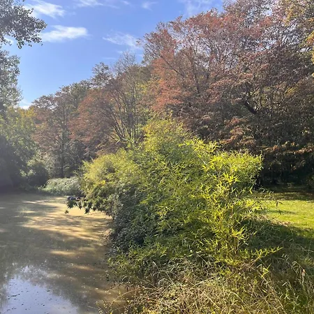 Hotel Sainte Raphine *