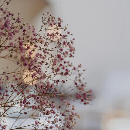 Sainte Raphine Hotel