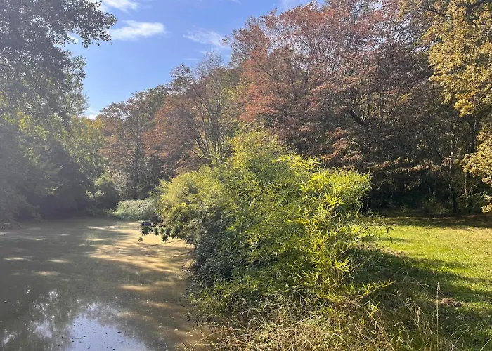 Hotel Sainte Raphine *